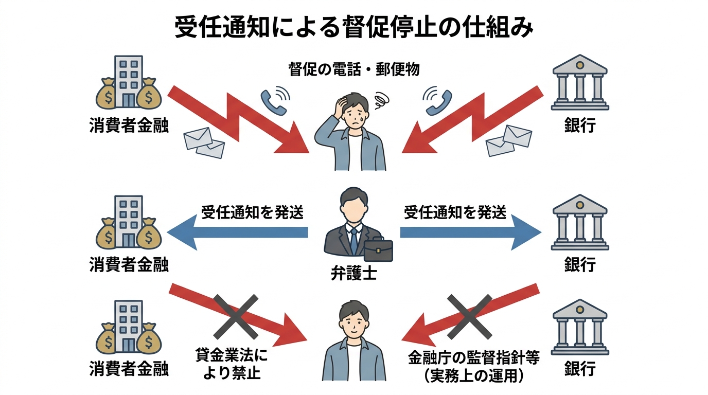 弁護士の受任通知による督促停止の仕組み。弁護士が通知を送ると、貸金業法や実務上の運用により、消費者金融や銀行からの直接の督促が止まる流れを図示している。